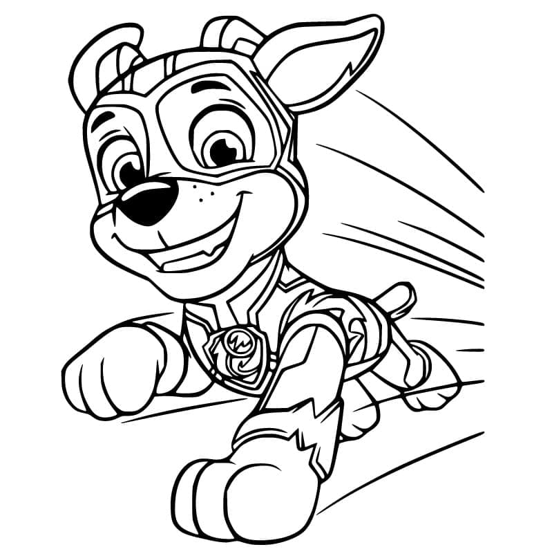 Dinokids - Desenhos para colorir: Desenhos de Patrulha Canina para