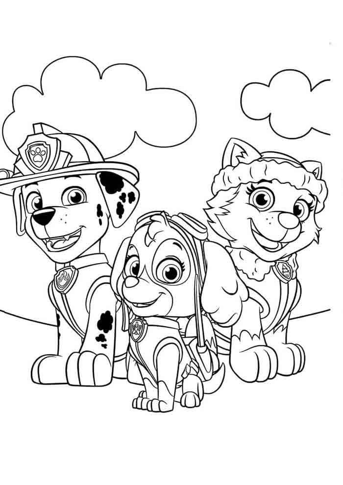 Desenhos da Patrulha Canina: Os 50 Melhores para Colorir e Imprimir