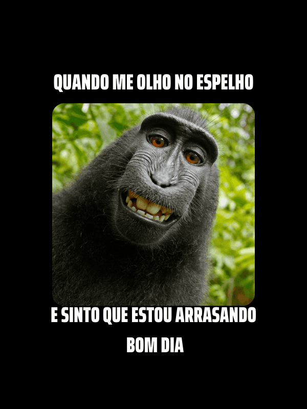 50 Frases de Bom dia Engraçado com Figurinhas e Emojis