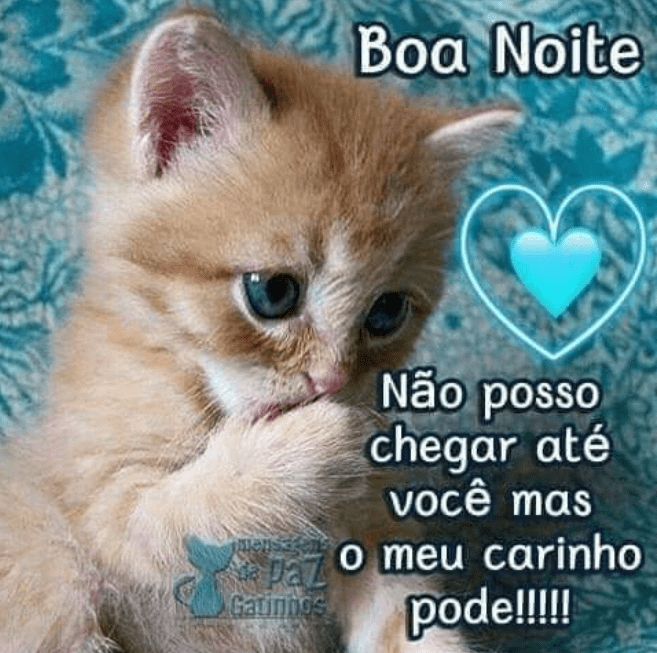 Imagens de Boa Noite para Whatsapp com Lindas Frases e Mensagens