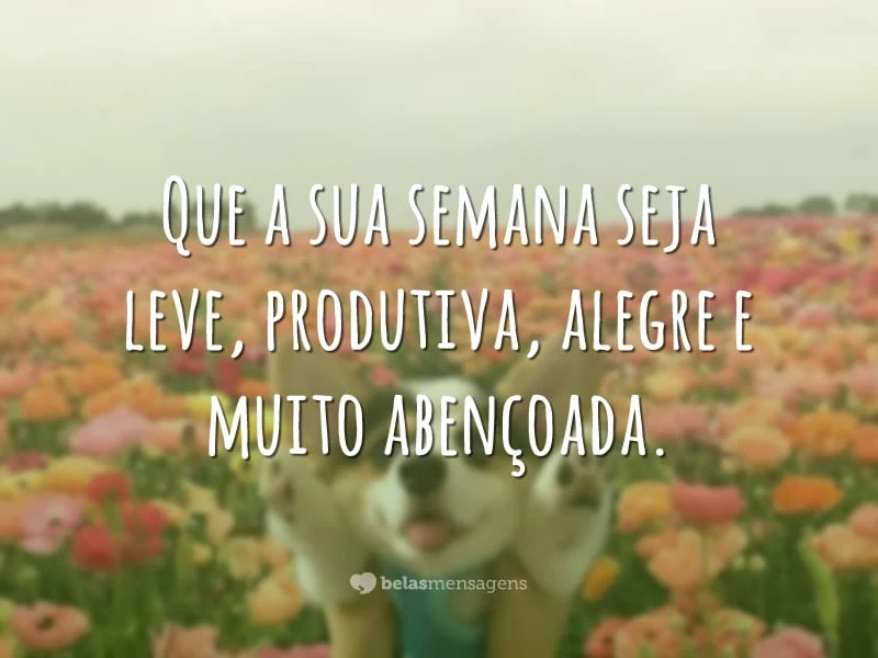 Frases Inspiradoras para Começar a Semana