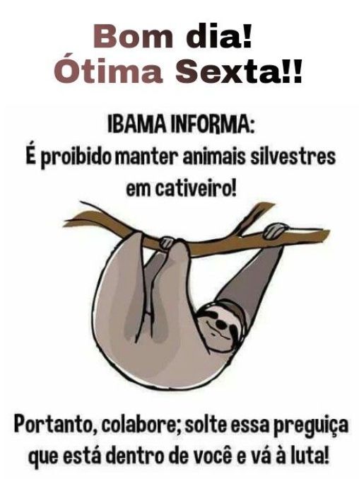 Bom Dia Sextou Engraçado: Um Fim de Semana com Humor!