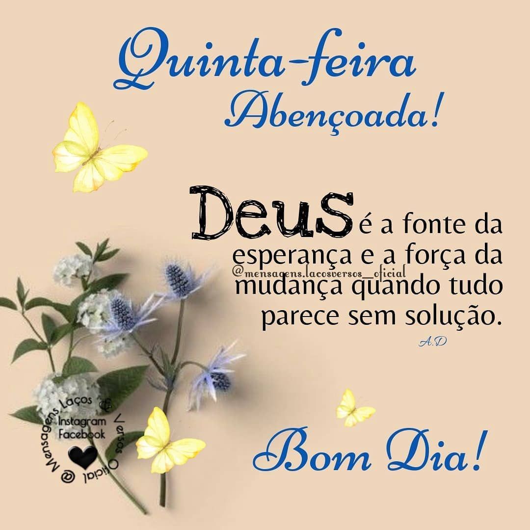 Frases de bom dia quarta-feira: 43 mensagens para animar seu dia